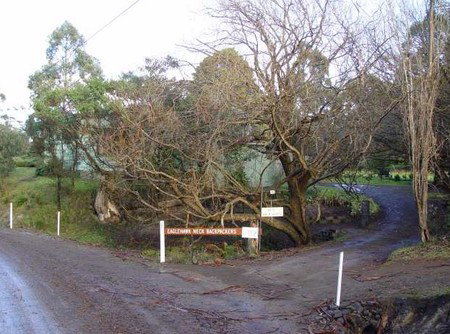 Eaglehawk Neck Backpackers - Accommodation Gold Coast 1