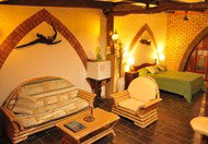 Cedar Park Rainforest Resort - Accommodation Gold Coast 0