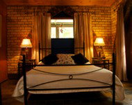 Cedar Park Rainforest Resort - Accommodation Gold Coast 3