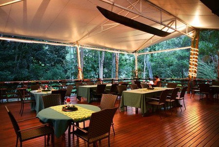 Cedar Park Rainforest Resort - Accommodation Gold Coast 5