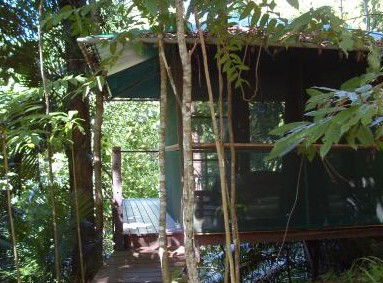 Sanctuary Retreat - Accommodation Gold Coast 0