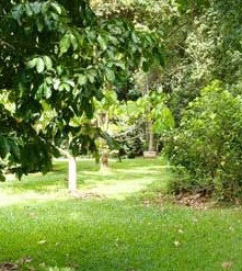 Kingfisher Park Birdwatchers Lodge - Accommodation Gold Coast 0