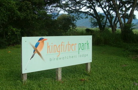 Kingfisher Park Birdwatchers Lodge - Accommodation Gold Coast 1
