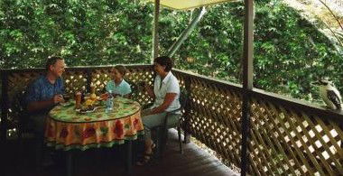 Chambers Wildlife Rainforest Lodges - Accommodation Gold Coast 4