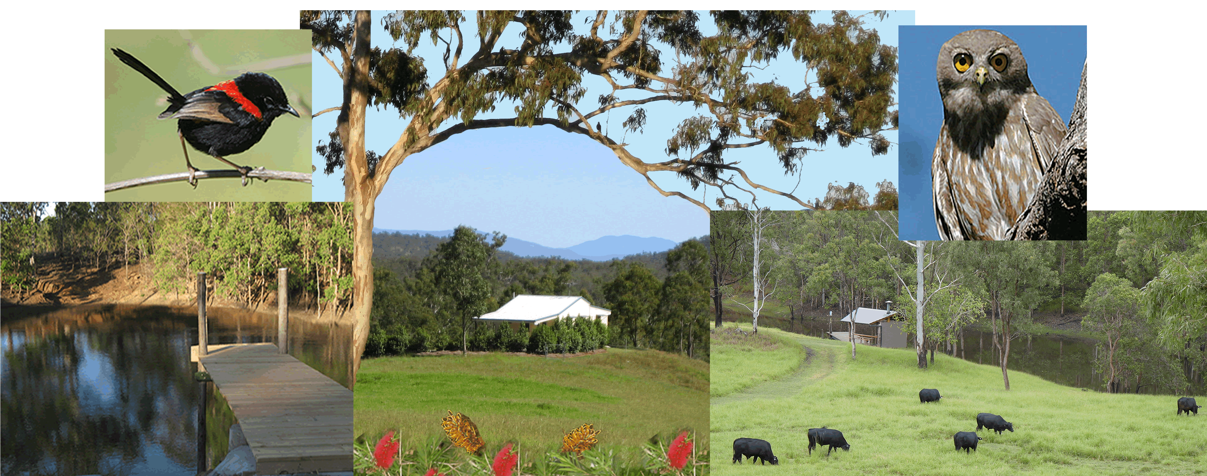 Barking Owl Retreat