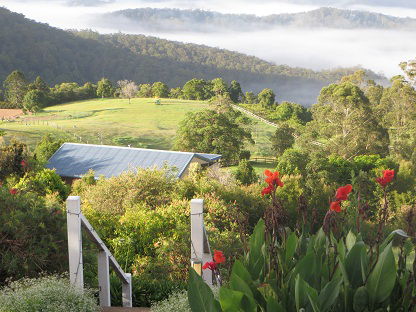 Blue Summit Cottages - Accommodation Gold Coast 5