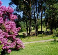 Figlea Cottages - Accommodation Gold Coast