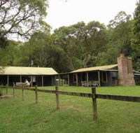 Tree Fern Lodge - Accommodation Gold Coast
