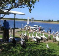 Mountain View Caravan and Mobile Home Village - Accommodation Gold Coast