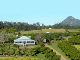 Mango Hill Farm - Gold Coast 4U 0