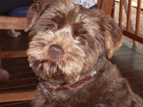 Lagoon Pocket Bed And Breakfast - Accommodation Gold Coast 0