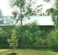 Wonga - Accommodation Gold Coast