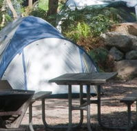 Booderee National Park - Accommodation Gold Coast