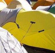 Exhibition Park in Canberra EPIC Camping Facilities - Accommodation Gold Coast