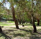 Woods Reserve - Accommodation Gold Coast