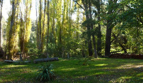 Old England Accommodation - Accommodation Gold Coast 2