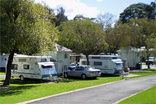 Pleasurelea Tourist Resort And Caravan Park - Accommodation Gold Coast 1