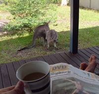 Bush and Bay Cottage - Accommodation Gold Coast