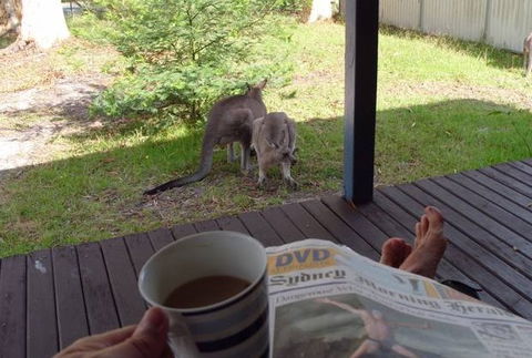 Bush And Bay Cottage - Accommodation Gold Coast 0