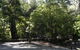 Booderee National Park: Green Patch Camping Area - thumb 0