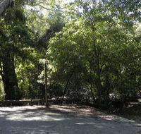 Booderee National Park Green Patch camping area - Accommodation Gold Coast