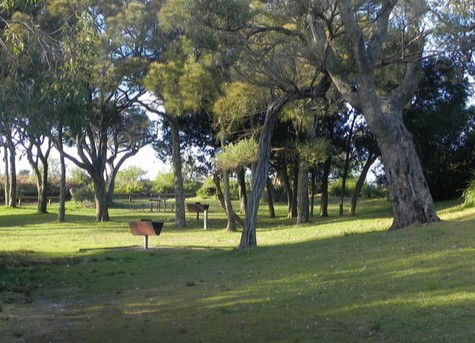Booderee National Park: Cave Beach Camping Area - Accommodation Gold Coast 1