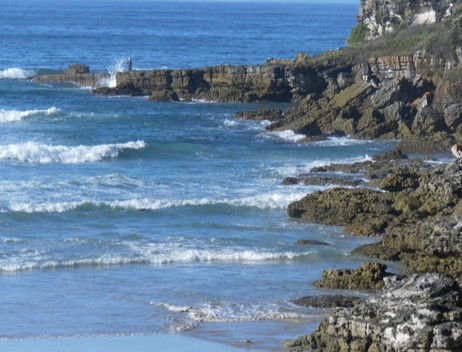 Booderee National Park: Cave Beach Camping Area - Accommodation Gold Coast 2