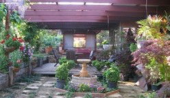 Blossoms Bed And Breakfast - Accommodation Gold Coast 0
