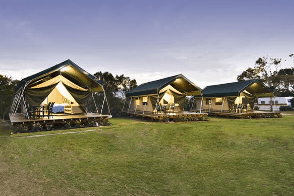 Hastings Point Holiday Park - Accommodation Gold Coast 0