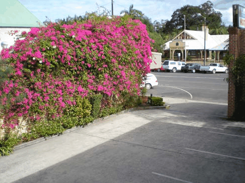 Mullumbimby Lyrebird Motel - Accommodation Gold Coast 2
