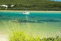 Wooli Camping and Caravan Park