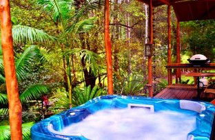 A Waterfall Hideout-Rainforest Cabin For Couples - Accommodation Gold Coast 5