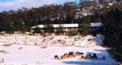 Cooba Holiday Motel - Accommodation Gold Coast 2
