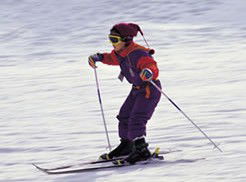 Targangil Ski Lodge - Accommodation Gold Coast 2