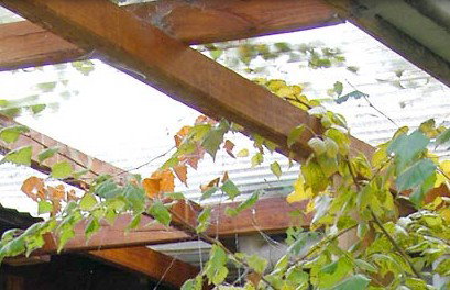 Cooma Bunkhouse Motel - Accommodation Gold Coast 2