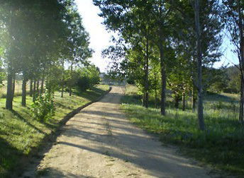 Mia Creek Bed And Breakfast - Accommodation Gold Coast 0