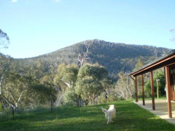 Mia Creek Bed And Breakfast - Accommodation Gold Coast 5