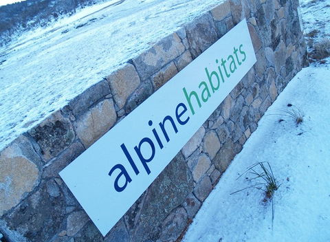Alpine Habitats - Accommodation Gold Coast 4