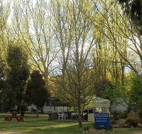 Snowy River Holiday Park - Accommodation Gold Coast