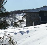 Barina Milpara Lodge - Gold Coast 4U