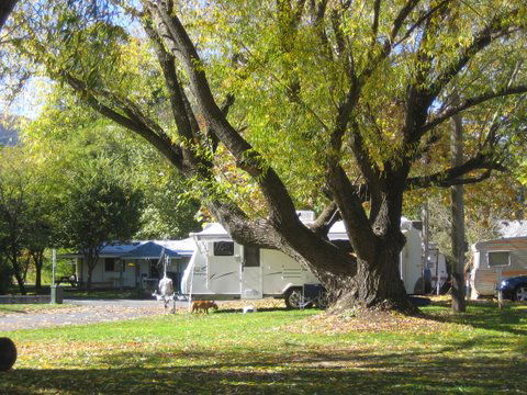 Tumbarumba Creek Caravan Park - Accommodation Gold Coast 0
