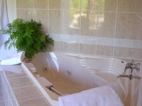 Mescals At Pampoolah Bed And Breakfast - Accommodation Gold Coast 1