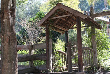 Bass Lodge - Accommodation Gold Coast 4