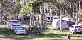 Brigadoon Holiday Park - Accommodation Gold Coast 2