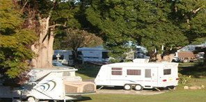 Bellinger River Tourist Park - Accommodation Gold Coast 3