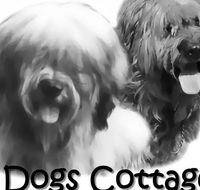 2 Dogs Cottages - Accommodation Gold Coast