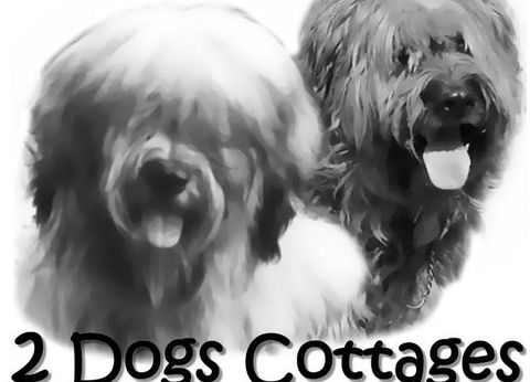 2 Dogs Cottages - Accommodation Gold Coast 0