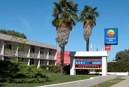 Comfort Inn Posthouse - Accommodation Gold Coast 0