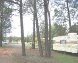 The Kelpie Caravan Park - Accommodation Gold Coast 0
