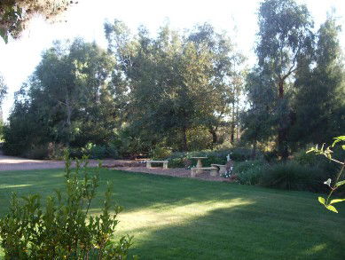 Wilga Park Cottage - Accommodation Gold Coast 4